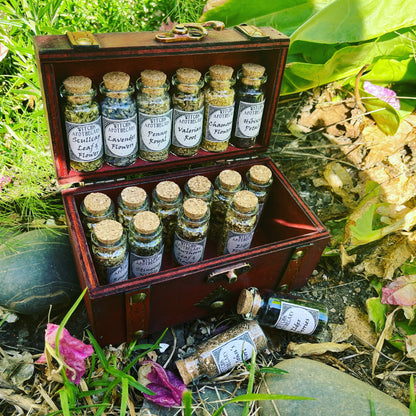 Witchcraft Apothecary w/ Mortar and Pestle ~ Herbs Glass Bottles ~ Book of Shadows Journal ~ Wiccan Pagan Altar Supplies for Potion Making
