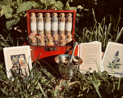 Witchcraft Apothecary w/ Mortar and Pestle ~ Herbs Glass Bottles ~ Book of Shadows Journal ~ Wiccan Pagan Altar Supplies for Potion Making