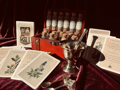 Witchcraft Apothecary w/ Mortar and Pestle ~ Herbs Glass Bottles ~ Book of Shadows Journal ~ Wiccan Pagan Altar Supplies for Potion Making
