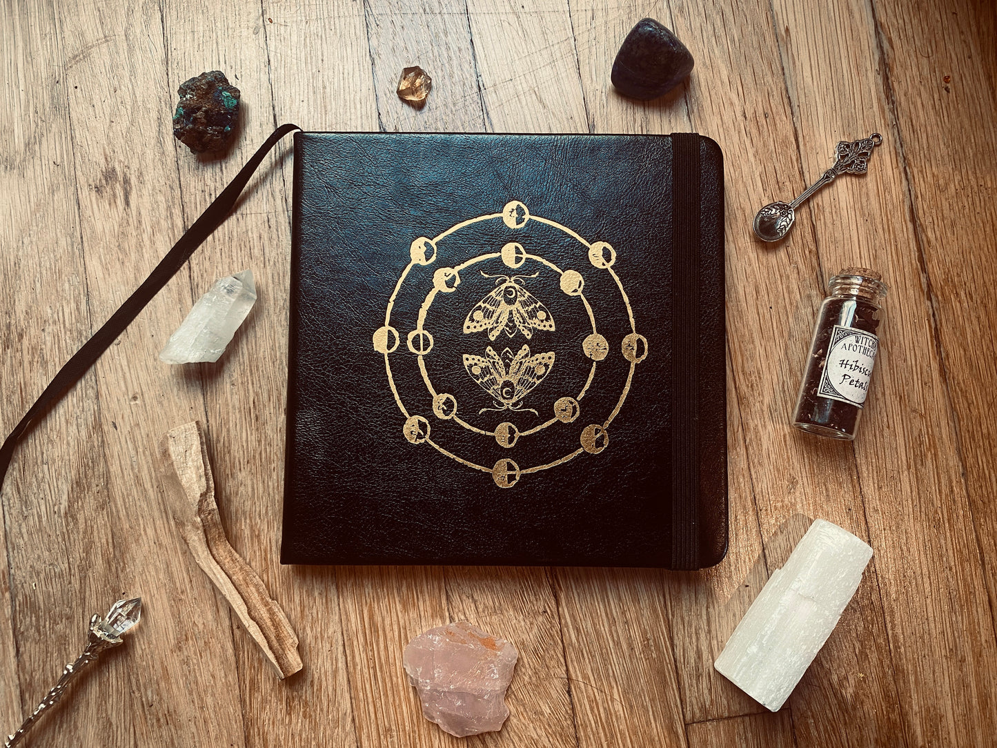 lunar moth notebook