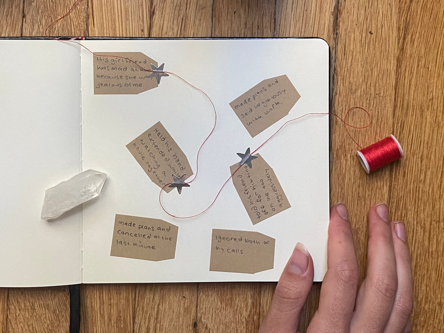 lunar moth notebook