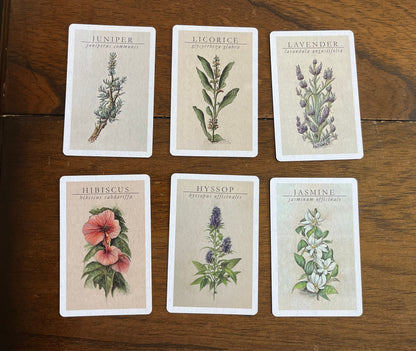 witchcraft cards