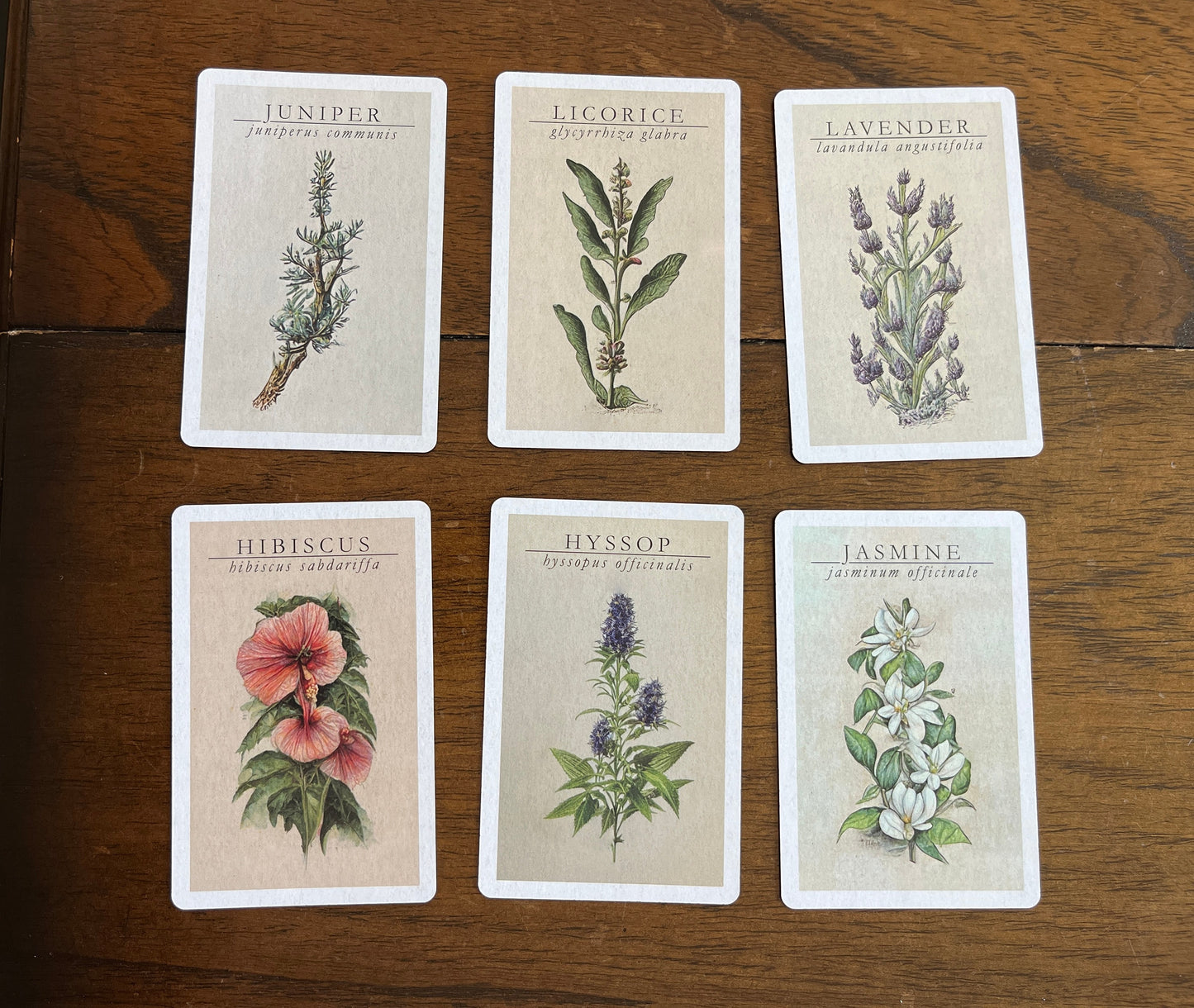 Witchcraft Cards~Set of 4 ~ Apothecary Crystal Flowers Cards Herbs ~ Index Reference Flash Cards ~ Wiccan Supplies ~ Mineralogy Oracle Deck