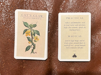 witchcraft cards