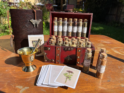 Witchcraft Apothecary w/ Mortar and Pestle ~ Herbs Glass Bottles ~ Book of Shadows Journal ~ Wiccan Pagan Altar Supplies for Potion Making