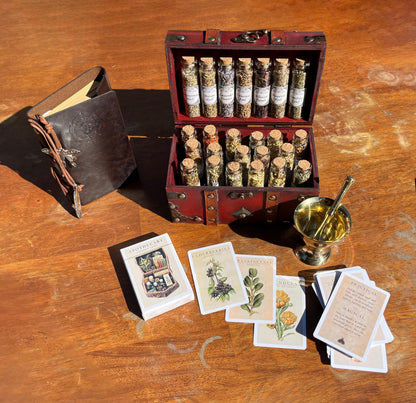 Witchcraft Apothecary w/ Mortar and Pestle ~ Herbs Glass Bottles ~ Book of Shadows Journal ~ Wiccan Pagan Altar Supplies for Potion Making