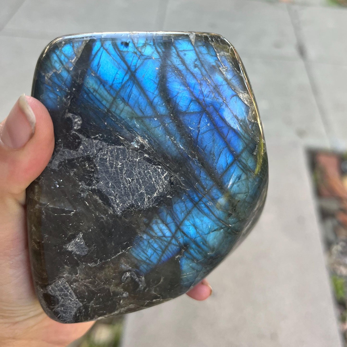 labradorite *CHOOSE EXACT CRYSTAL* freeform crystal mineral gemstone natural metaphysical exact picture flashy witchy decor