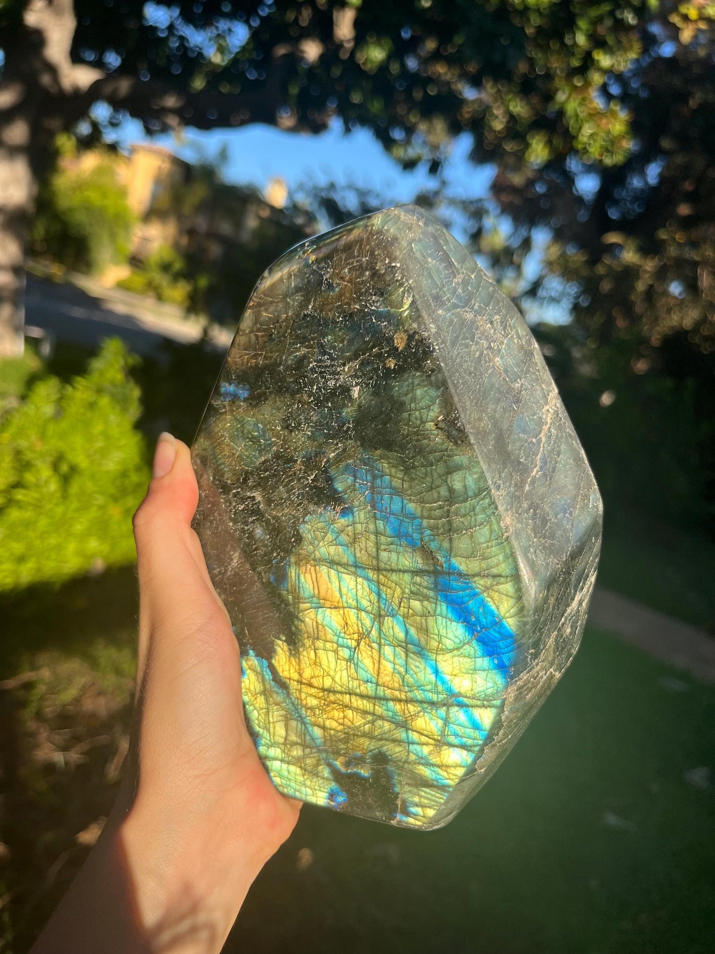 labradorite *CHOOSE EXACT CRYSTAL* freeform crystal mineral gemstone natural metaphysical exact picture flashy witchy decor