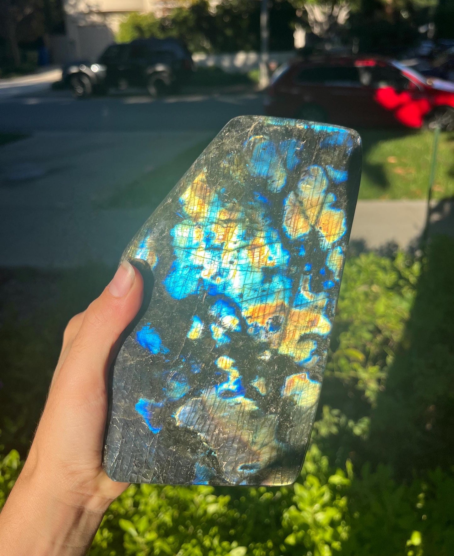 labradorite *CHOOSE EXACT CRYSTAL* freeform crystal mineral gemstone natural metaphysical exact picture flashy witchy decor