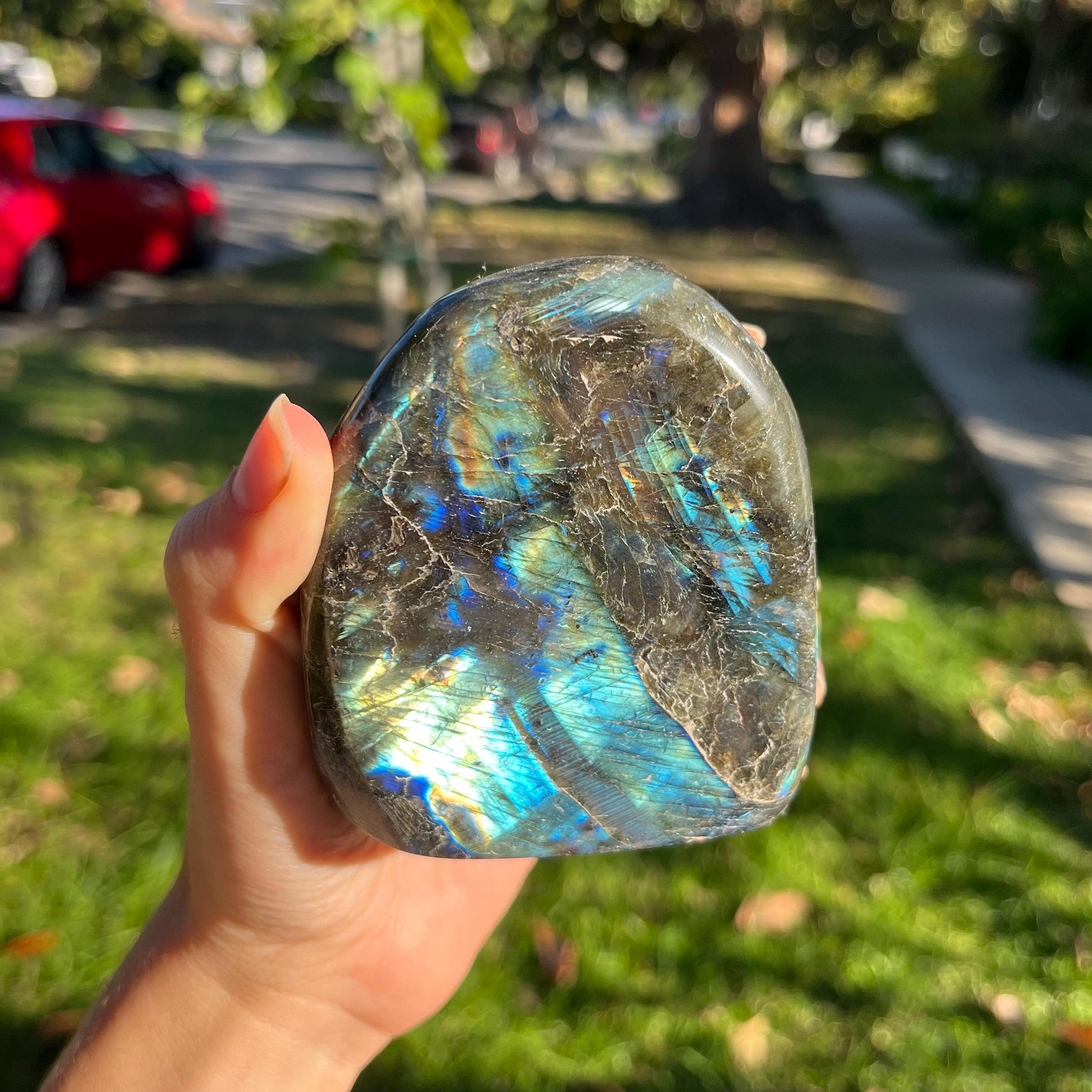labradorite *CHOOSE EXACT CRYSTAL* freeform crystal mineral gemstone natural metaphysical exact picture flashy witchy decor