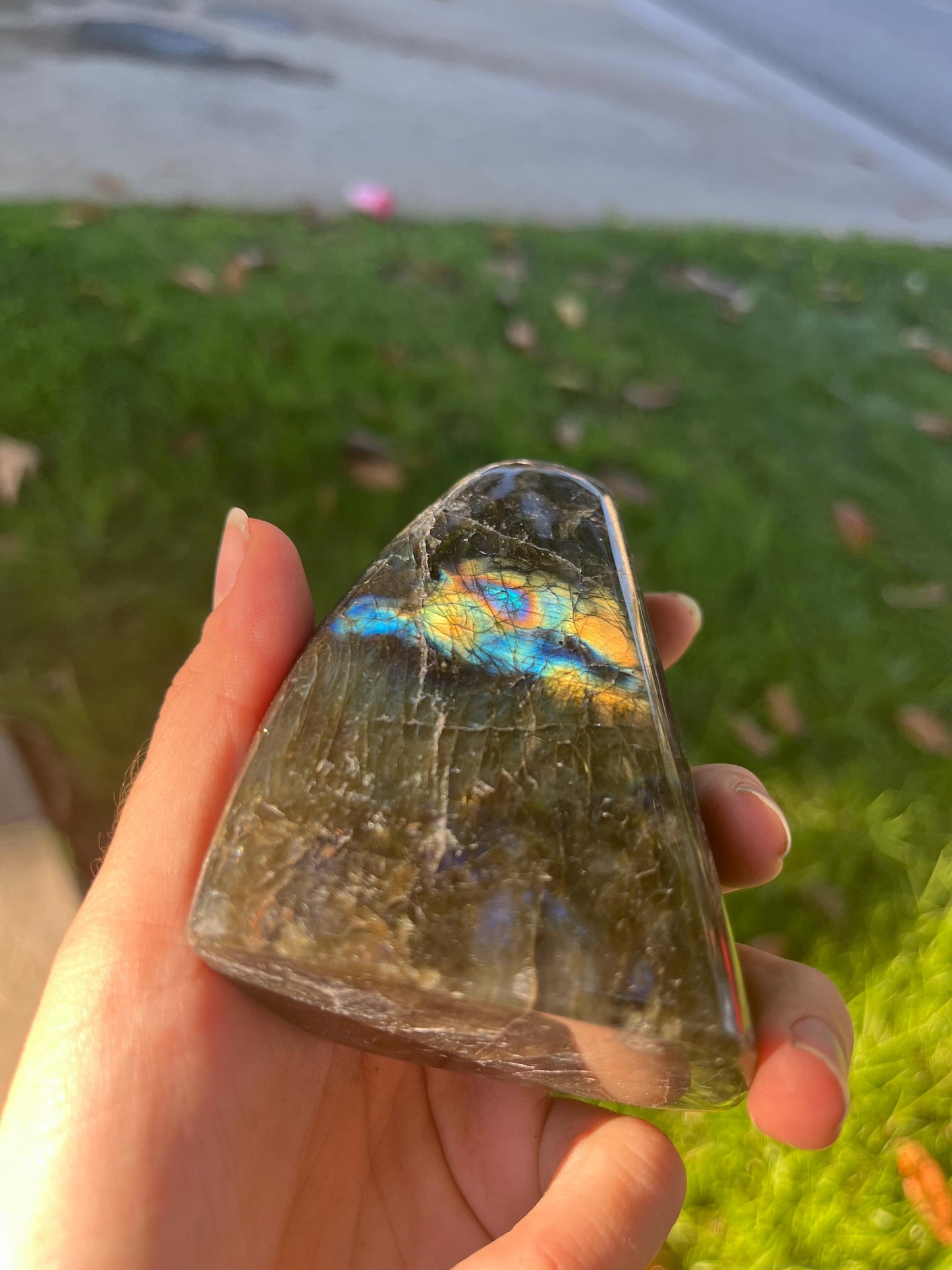 labradorite *CHOOSE EXACT CRYSTAL* freeform crystal mineral gemstone natural metaphysical exact picture flashy witchy decor