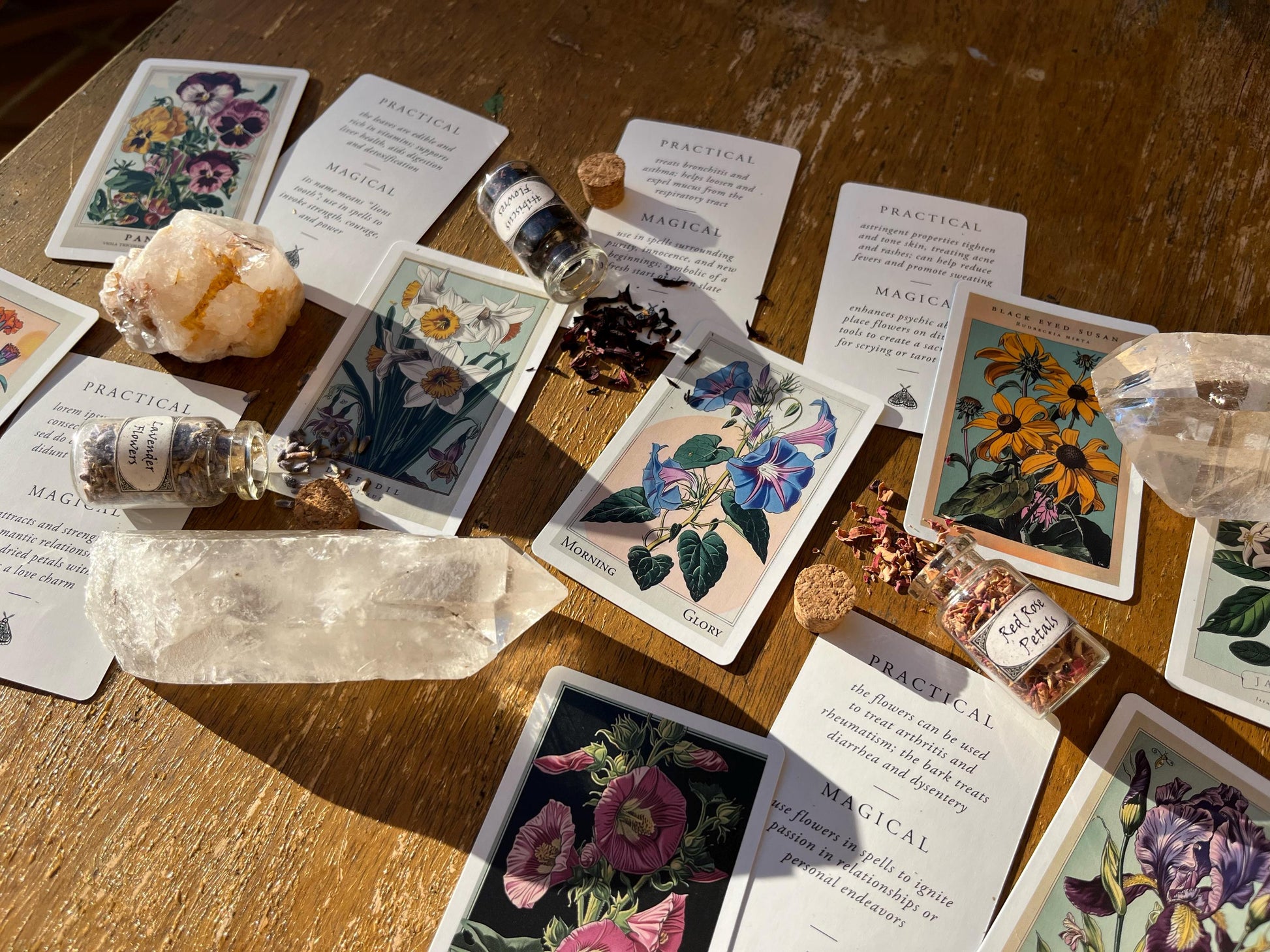Magic of Flower Cards ~ Oracle Deck