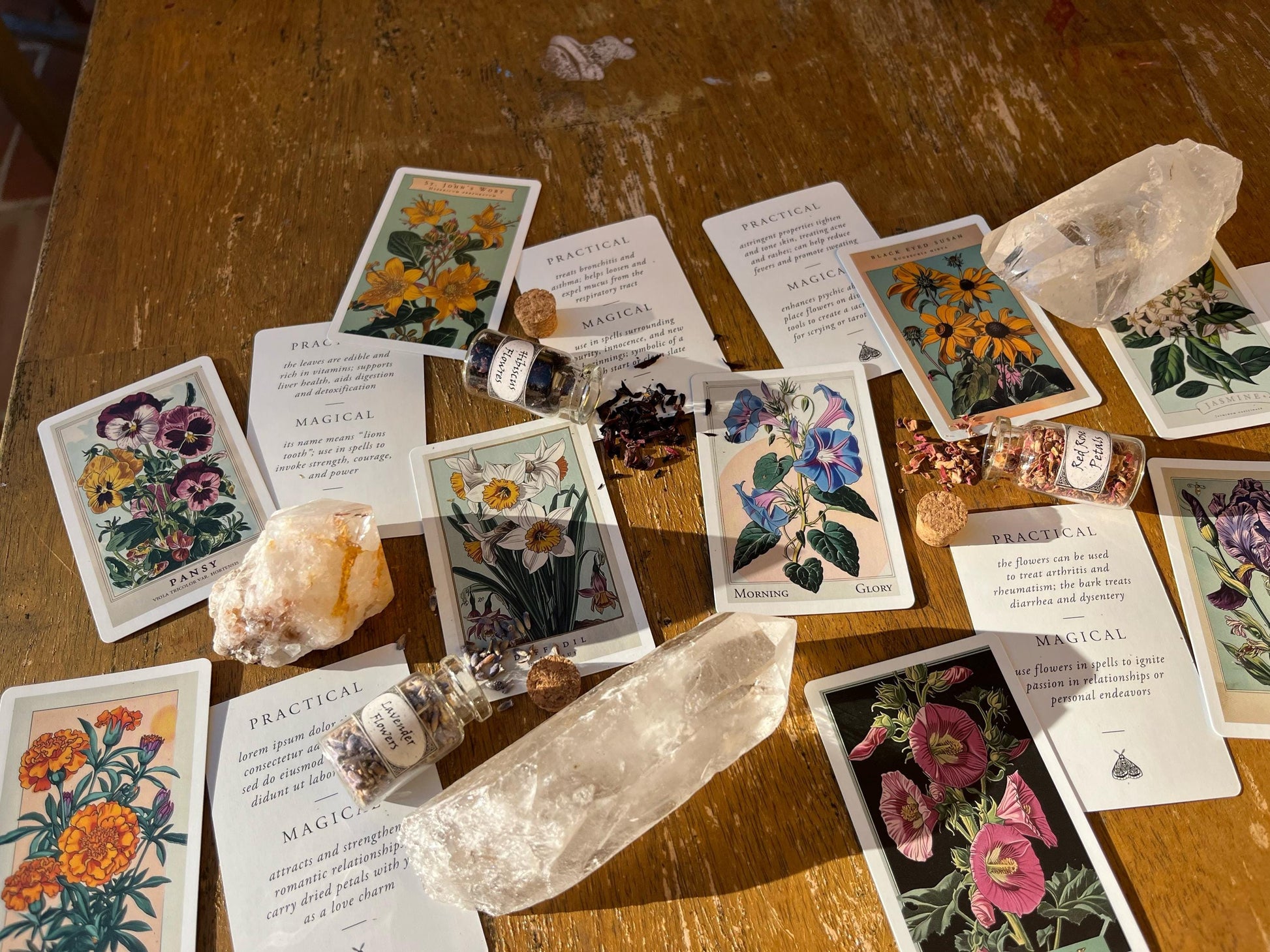 Magic of Flower Cards ~ Oracle Deck