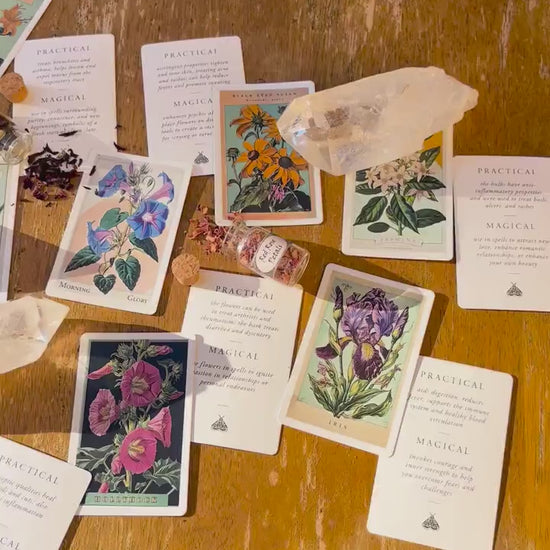 Magic of Flower Cards ~ Oracle Deck