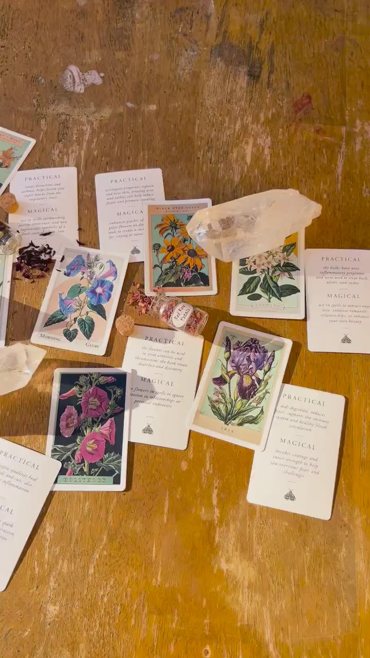Magic of Flower Cards ~ Oracle Deck